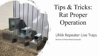 Uhlik Repeater Live Traps - Tips & Tricks - Rat Operation