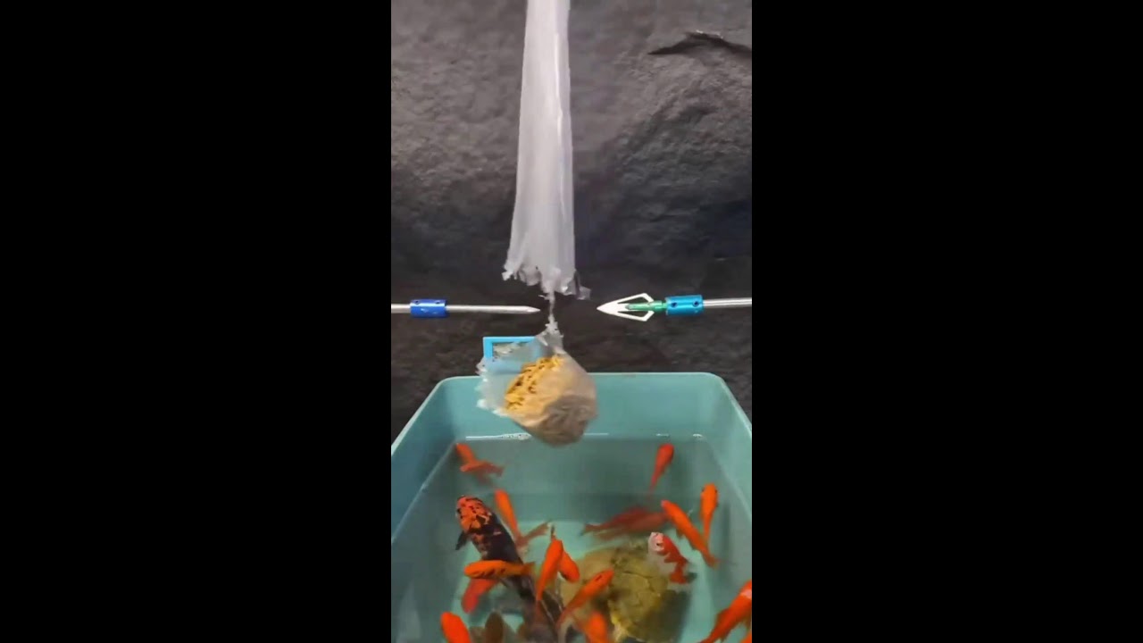 ИГРАЕМ НА СТРИМЕ ШОРТС