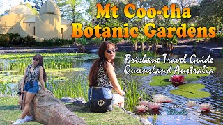 Mt Cootha Botanic Gardens BNE l Brisbane Australia