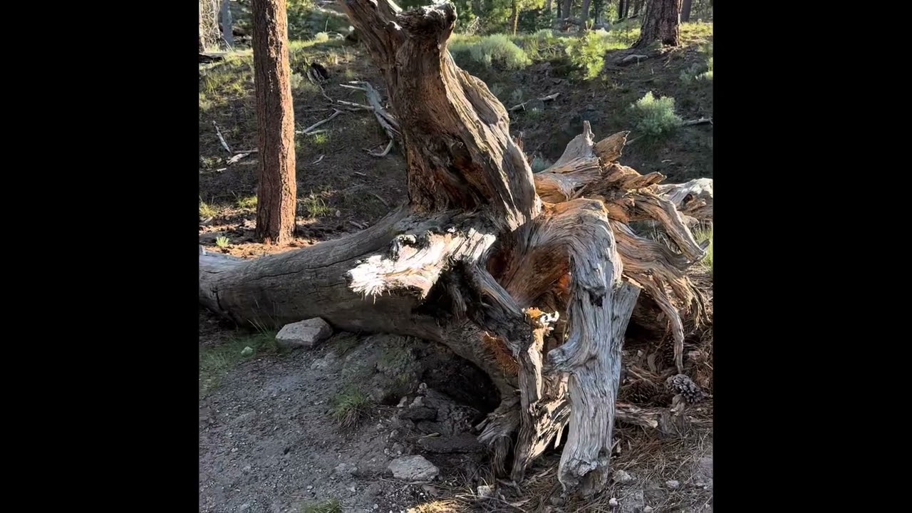 Lassen Volcanic National Park-Northern California