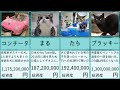 お金持ちすぎるペットたち