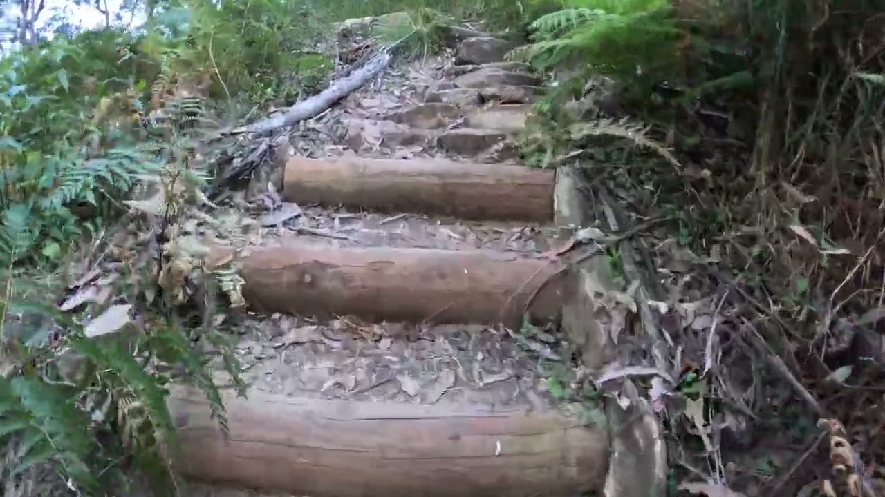 Endless Stairs to Perry’s Lookdown