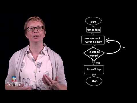 ProgramX: Introduction to Repetition