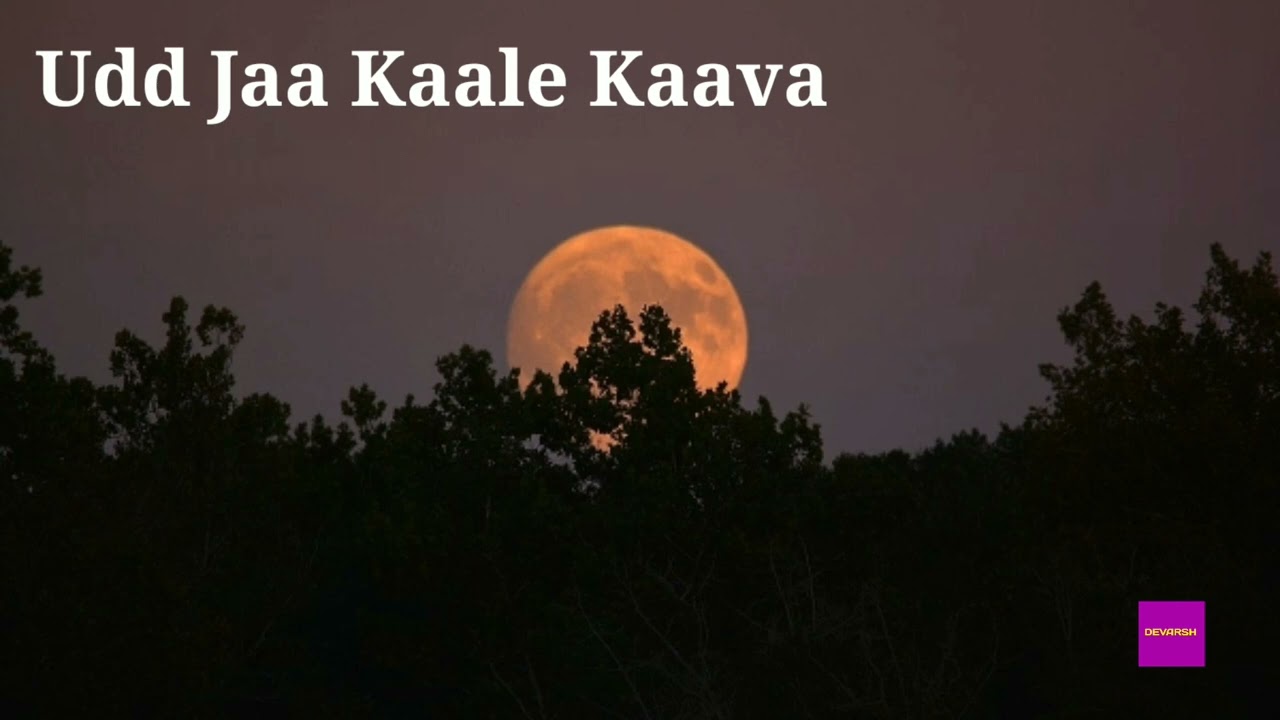 Udd Jaa Kaale Kaava - Gadar 2 || Slowed + Reverb || Lo-fi Song || Devarsh Panchal ||