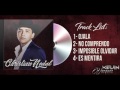 Video Musical
