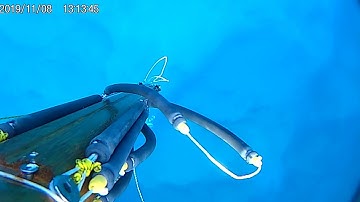 B Daniel Double Invert Roller Long shot dentex