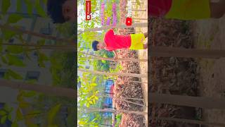 Humne Dil Lagaye Jo Lagana Mana Tha Amazing Views YouTubeShort #ManavNandurkar