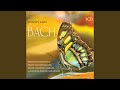 Miniature de la vidéo de la chanson Suite No. 2 In B Minor, Bwv 1067: Vi. Menuet