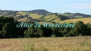 Alice in Wonderland (inspired photos) Alice in Wonderland (inspired photos)