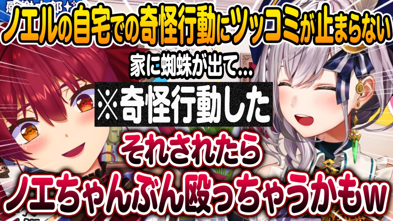 白銀ノエルの自宅でのとある行動にツッコミが止まらなくなる宝鐘マリン【ホロライブ 切り抜き】