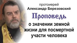 О значении земной жизни для посмертной участи человека (2024.02.02). Прот. Александр Березовский