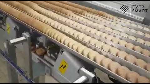 Biscuit Automatic Packaging Line | On Edge Packaging