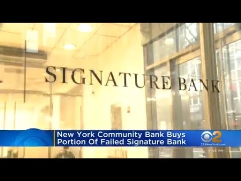 Video: Banca NYC pe vânzările de vânători de păpuși a fost confirmată de curtea federală