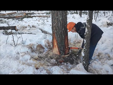 Валка в пресный