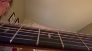 IMG 1374