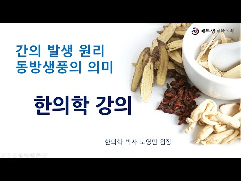 한의사를 위한 한의학 강의 3-3 ]  오장의 발생원리 중 간의 발생 원리.동방생풍, 풍생목, 목생산, 산생간의 원리.