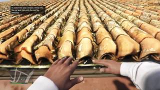 Michael And Franklin A Love Story (Grand Theft Auto V)