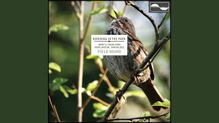 Rivulet, Pine Siskin, Distant Pileated Woodpecker screenshot 2