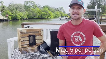 Stone Crab Regulations And Different Traps For Catching Stone Crabs