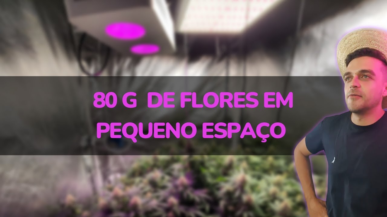 80g de flores em pequeno espaço