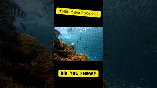 Did you know|| നിങ്ങൾക്കറിയാമോ