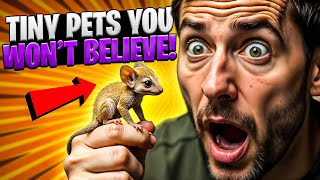 20 small and cute exotic animals you can own as pets #cuteexoticanimal #exoticanimals
