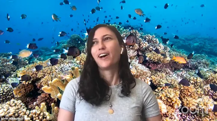 Mote SEA Show  The Science of Summer   with Dr  Ai...