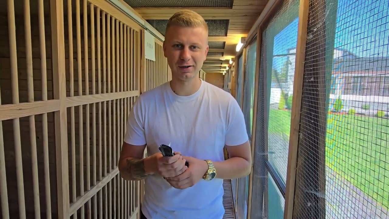 Machiel Buijk - zapowiedź aukcji