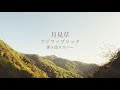 月見草/フジファブリック【弾き語りcover】