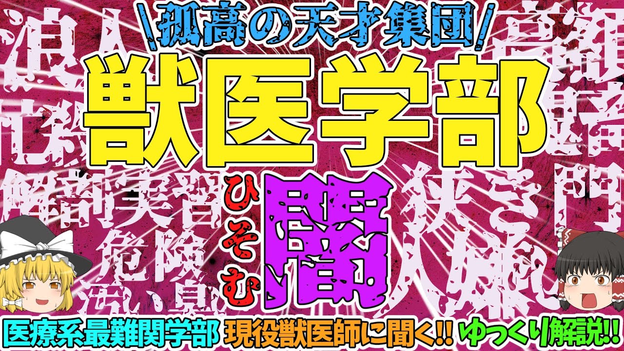 【獣医学部】謎の天才集団、獣医学部の闇！その知られざる6年間に迫る！【ゆっくり解説】