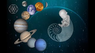 Eist - 6Ème - La Dynamique Dun Écosystème Introduction Au Nouveau Chapitre