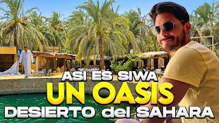 ASÍ VIVEN en un OASIS en MEDIO del DESIERTO del SAHARA | NUNCA IMAGINE UN LUGAR ASÍ Gabriel Herrera