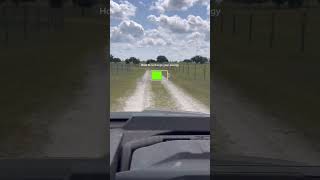 Farm day ❤️ #outdoorlife #huntinglife #farmlife #sidebyside  #4wheeling
