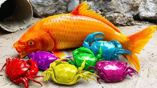 Funny Fish Videos ❤️ Colorful Catfish, Small Crab, Trap Rainbow Eel / Satisfying Rainbow Koi Fish