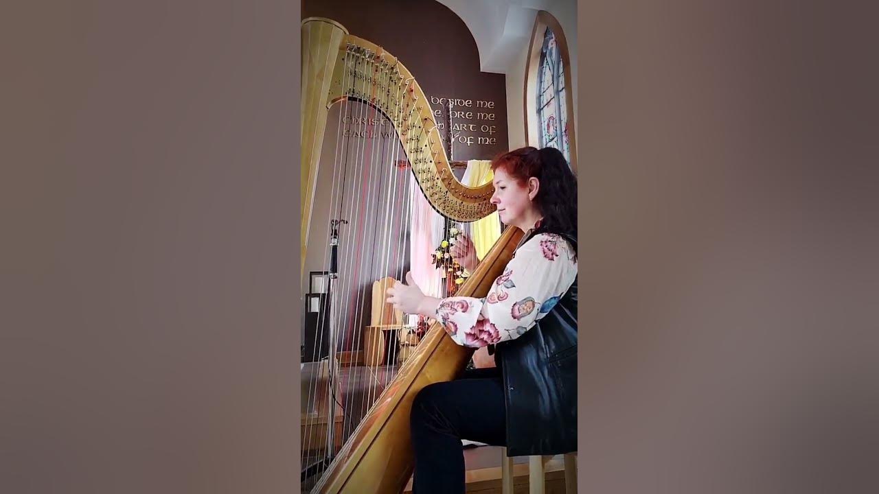 Passacaglia Handel-Halvorsen #shorts #passacaglia #halvorsen #harpcover #classicalmusic #harp