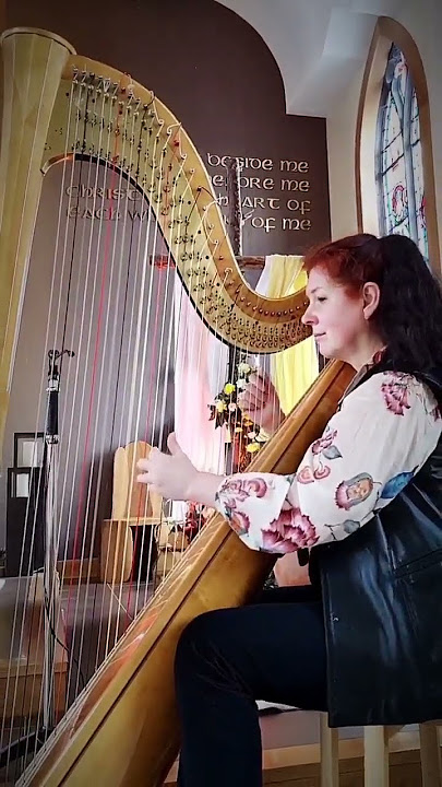 Passacaglia Handel-Halvorsen #shorts #passacaglia #halvorsen #harpcover #classicalmusic #harp