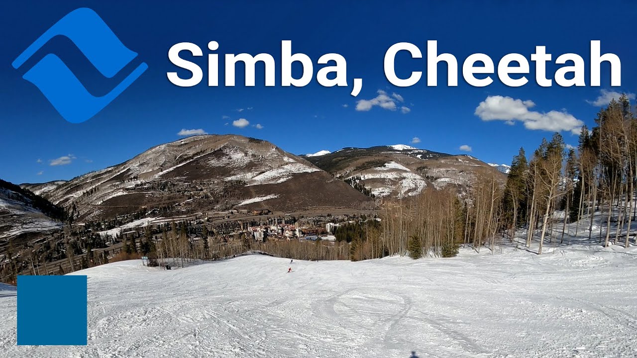 Vail - Simba to Cheetah (via Cub's Way)