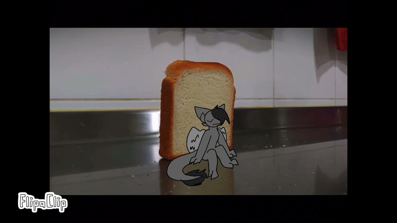 Toast falling over D *inspired* YouTube