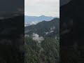 Descubren más de 8.000 posibles nuevas especies de insectos en el Chocó Andino de Ecuador