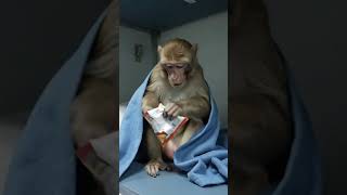 #shorts #funny #video 👍🤣🤣📈🚀