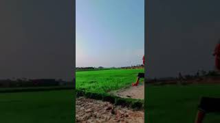 Viral  For Instagram cricket viral viratkohli trending instagramreels cricket