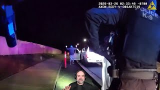 Classic Felony Stop