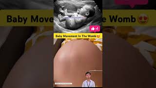 Baby Movement In The Womb Educational Video