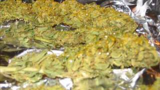 Marijuana Max has fun with marijuana