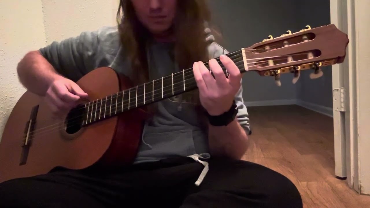 Fleet Foxes - tiger mountain peasant song (cover)