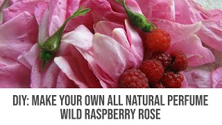 DIY: Make Your Own All Natural Perfume - Wild Raspberry Rose