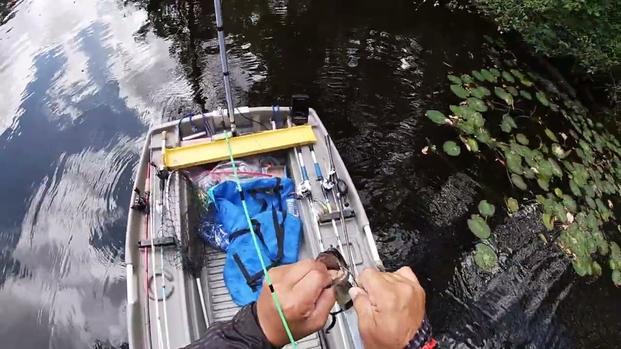 Cashie River Bass Fishing Pt 2