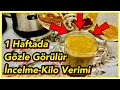 1 Haftada Zayıflatan Seher Akgül Yağ Yakıcı Kahve İle Hızlı Zayıflama @Seher Akgül