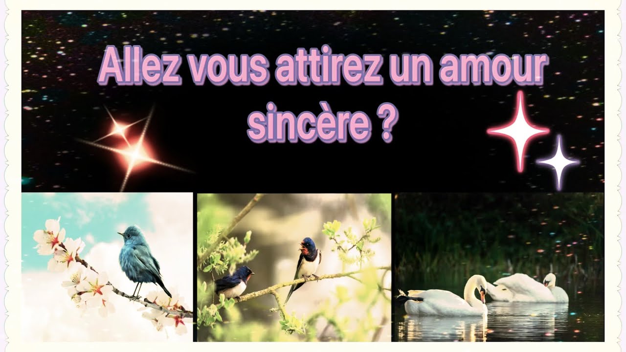 ♥️ALLEZ VOUS ATTIREZ UN AMOUR SINCÈRE♥️tirage sentimental - YouTube