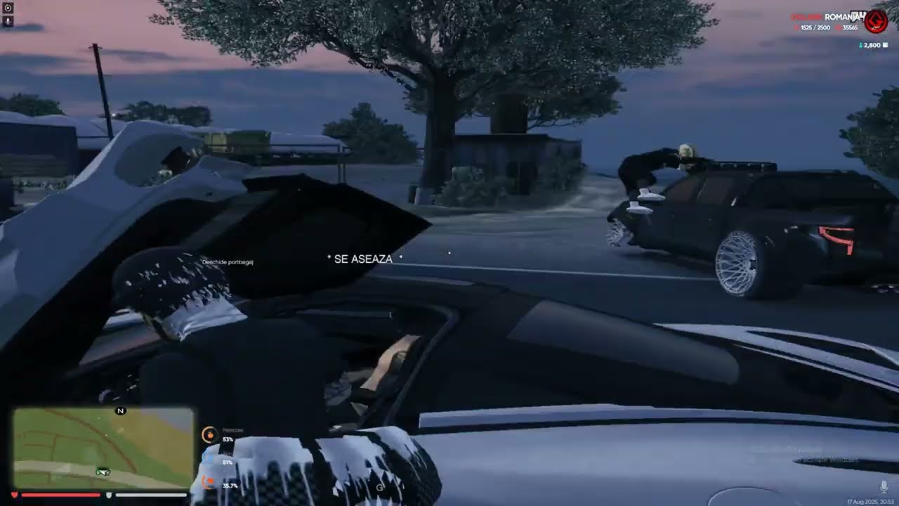 OGLAND | RUP CODUL | #2